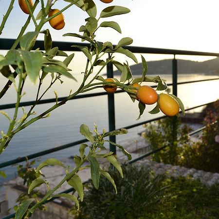 Villa Panorma Κηπαρό Εξωτερικό φωτογραφία