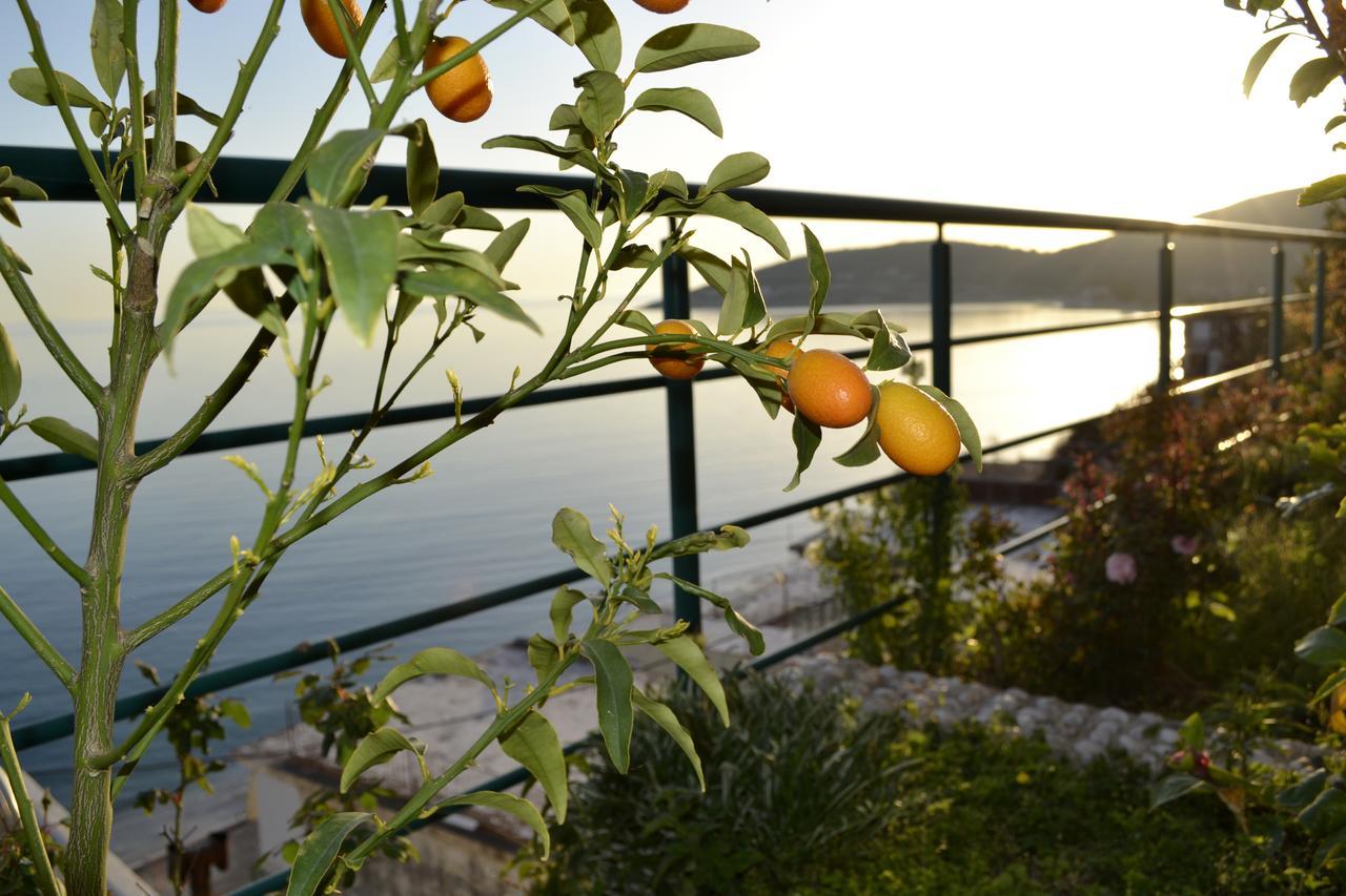 Villa Panorma Κηπαρό Εξωτερικό φωτογραφία